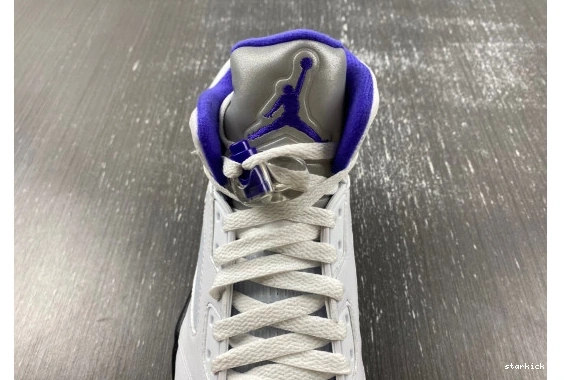 DD0587-141 Jordan Dark  Concord 5 Retro DD0587-141 1113